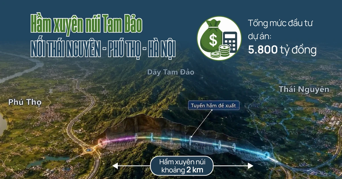 ham tam dao 01
